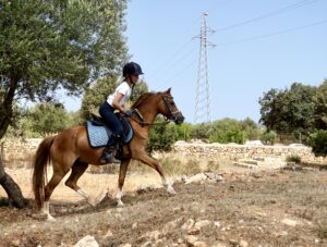 Hügeltraining im Trailparcours