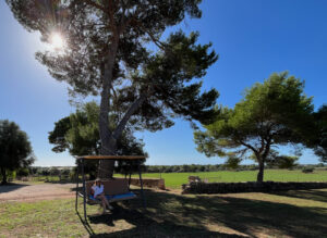 Weite und Natur im Homeoffice im Ausland