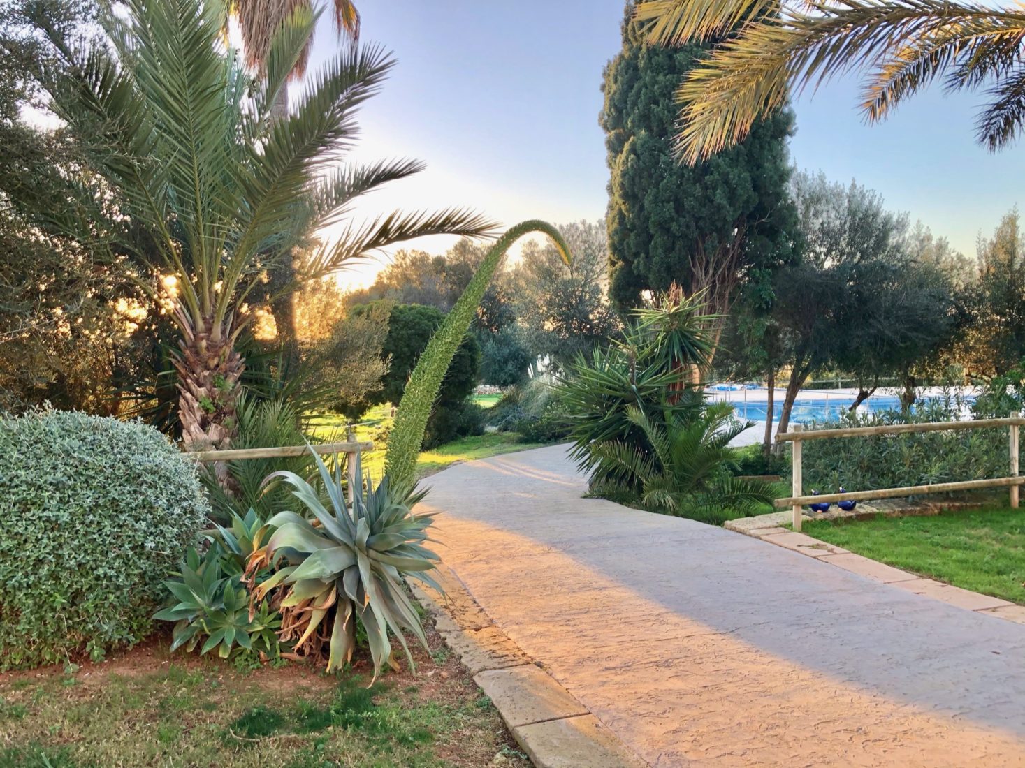 Barrierefreier Weg zum Pool Finca Mallorca für 22 Personen