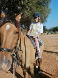 Reiten auch für Gäste im Rollstuhl